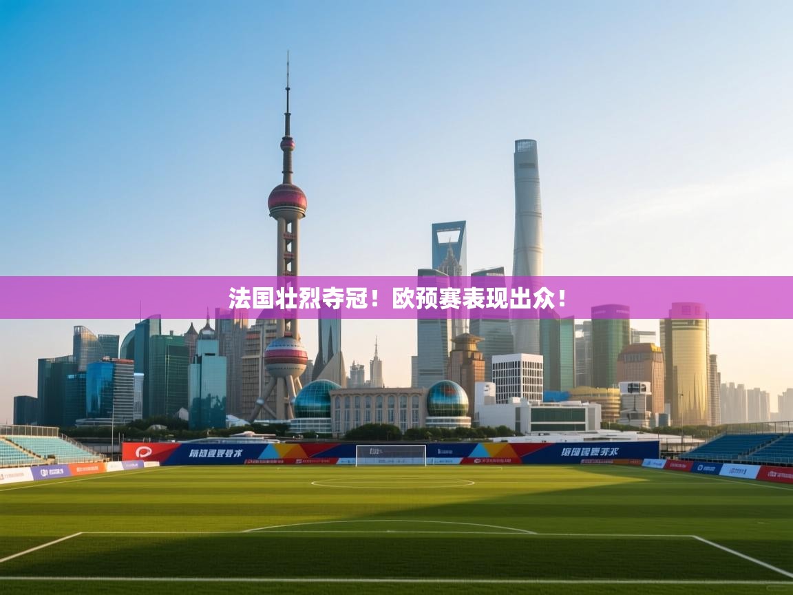法国壮烈夺冠!欧预赛表现出众! 第1张