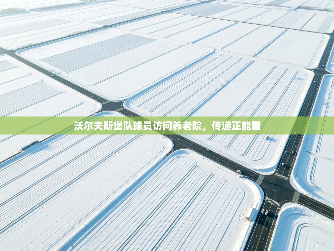 沃尔夫斯堡队球员访问养老院，传递正能量  第1张