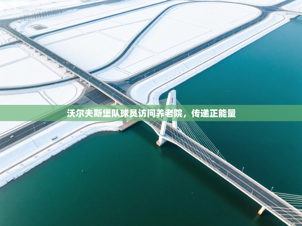 沃尔夫斯堡队球员访问养老院，传递正能量  第2张