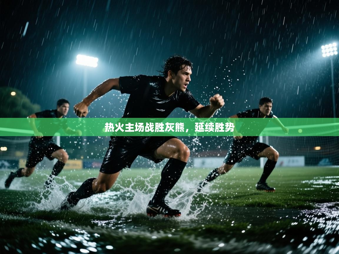 热火主场战胜灰熊,延续胜势 第1张