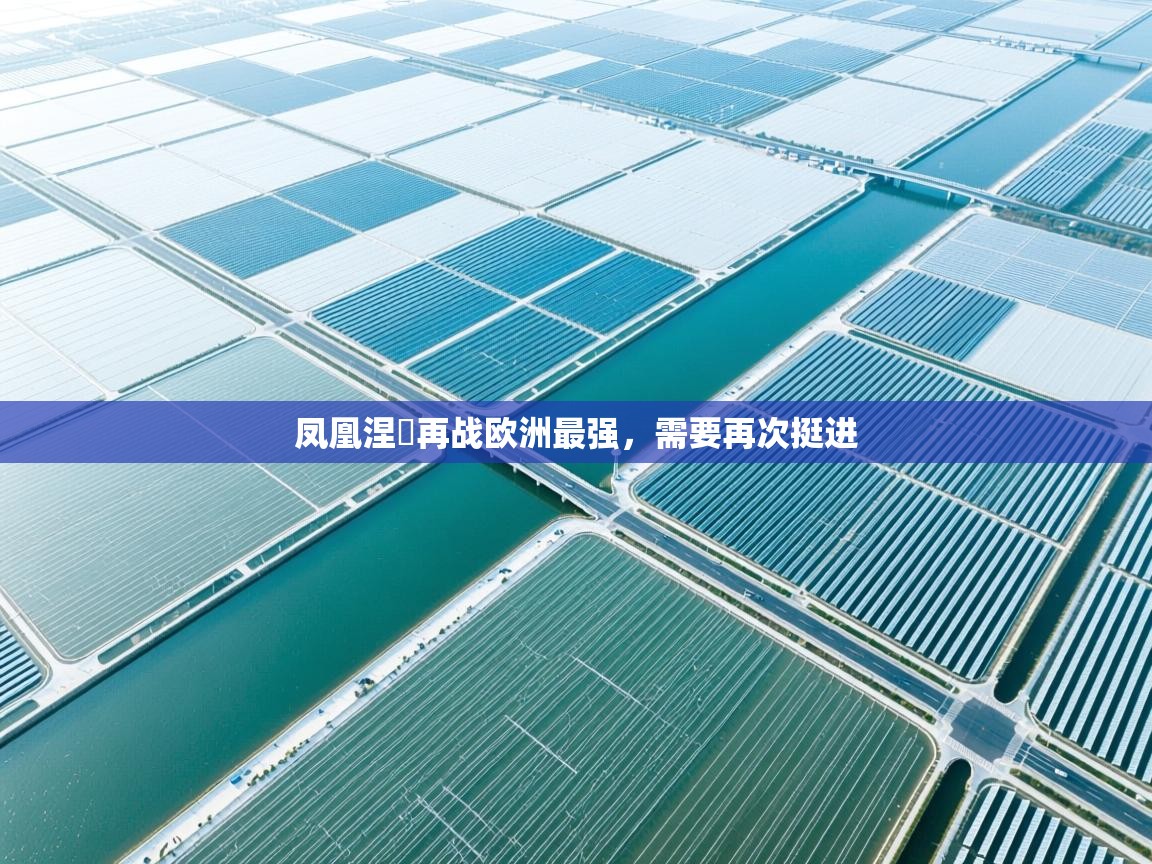 凤凰涅槃再战欧洲最强,需要再次挺进 第1张